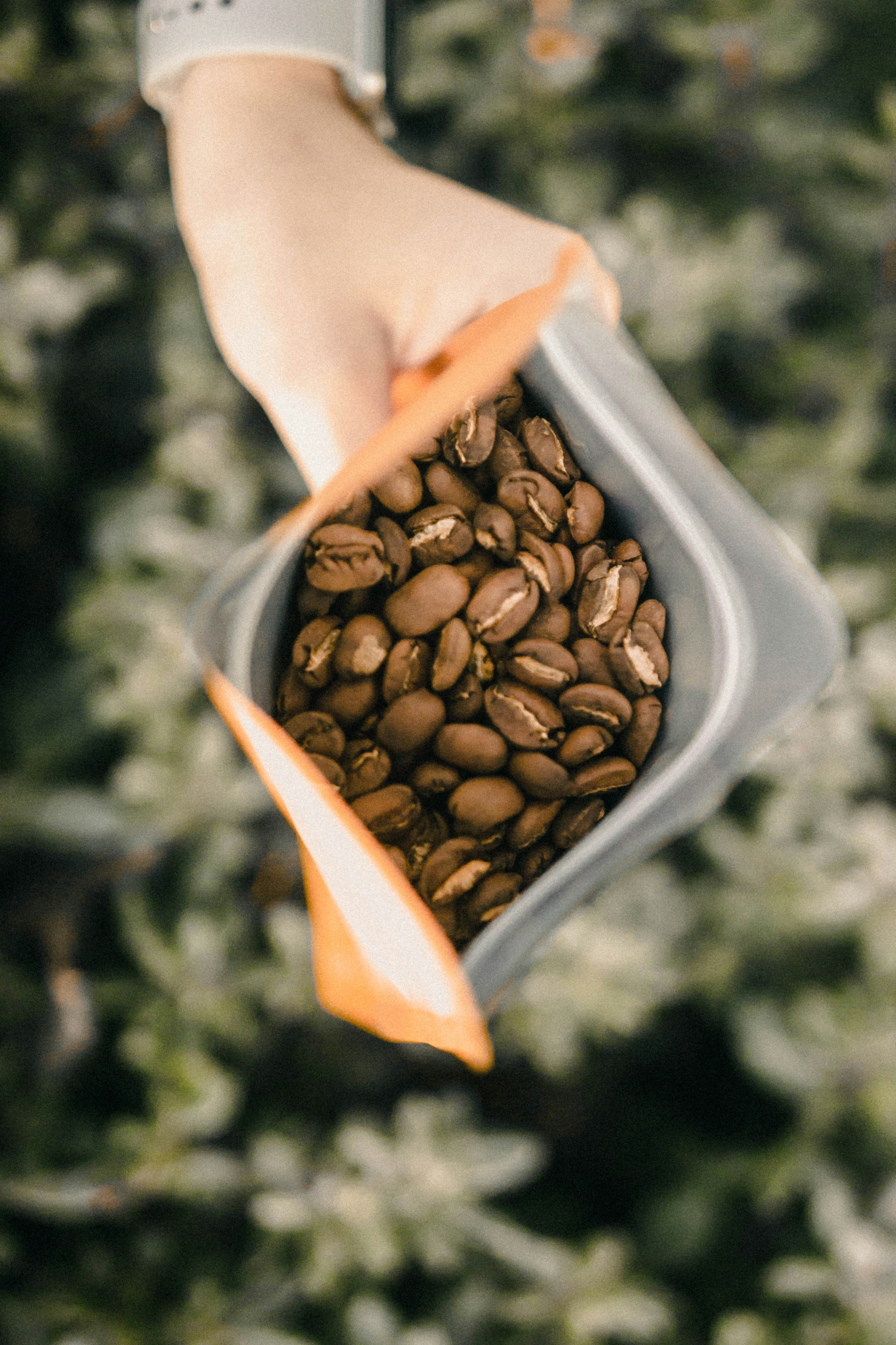Kaffee-Zubehör